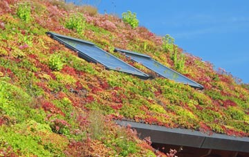 Irwell Vale living roof systems