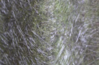 Irwell Vale fibreglass roof work